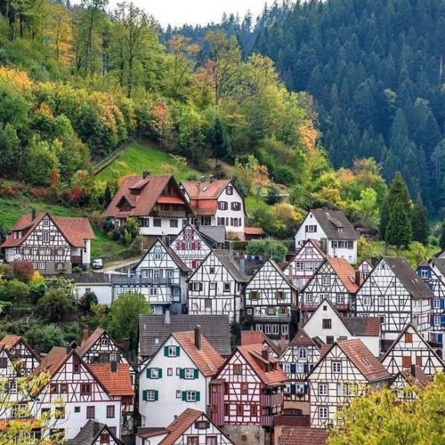 black forest (4)