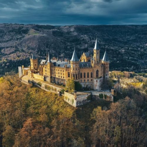 black forest (6)
