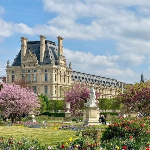paris (5)